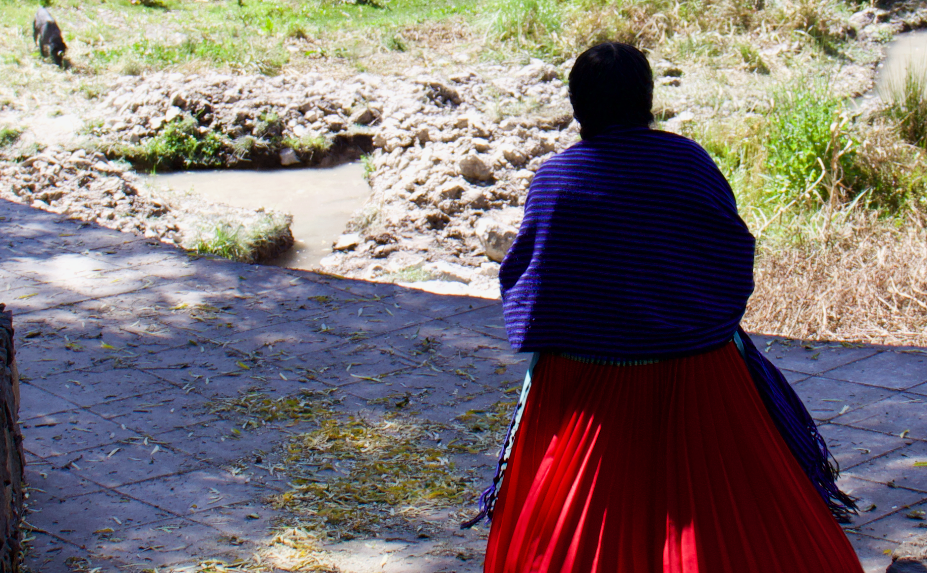 Dando Voz a las Memorias Femeninas: Gabriela Mier